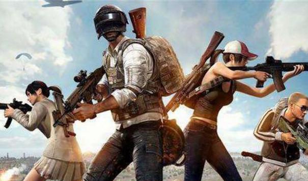 速成长期 速成长期