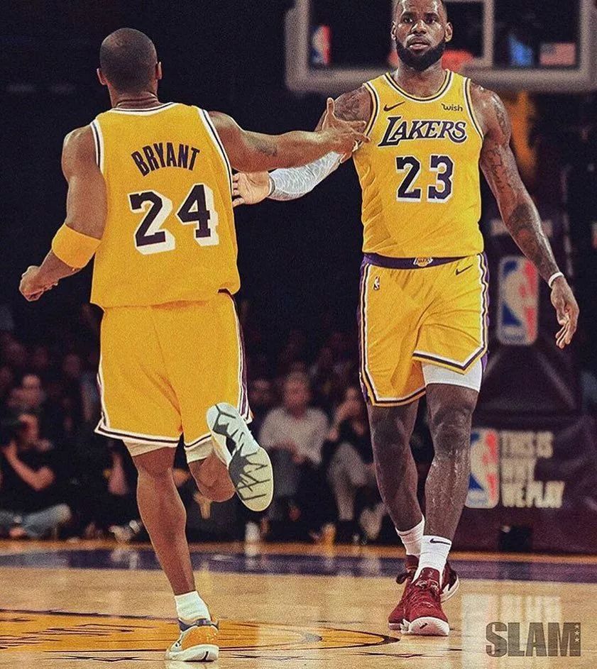 育赛事的不 育赛事的不